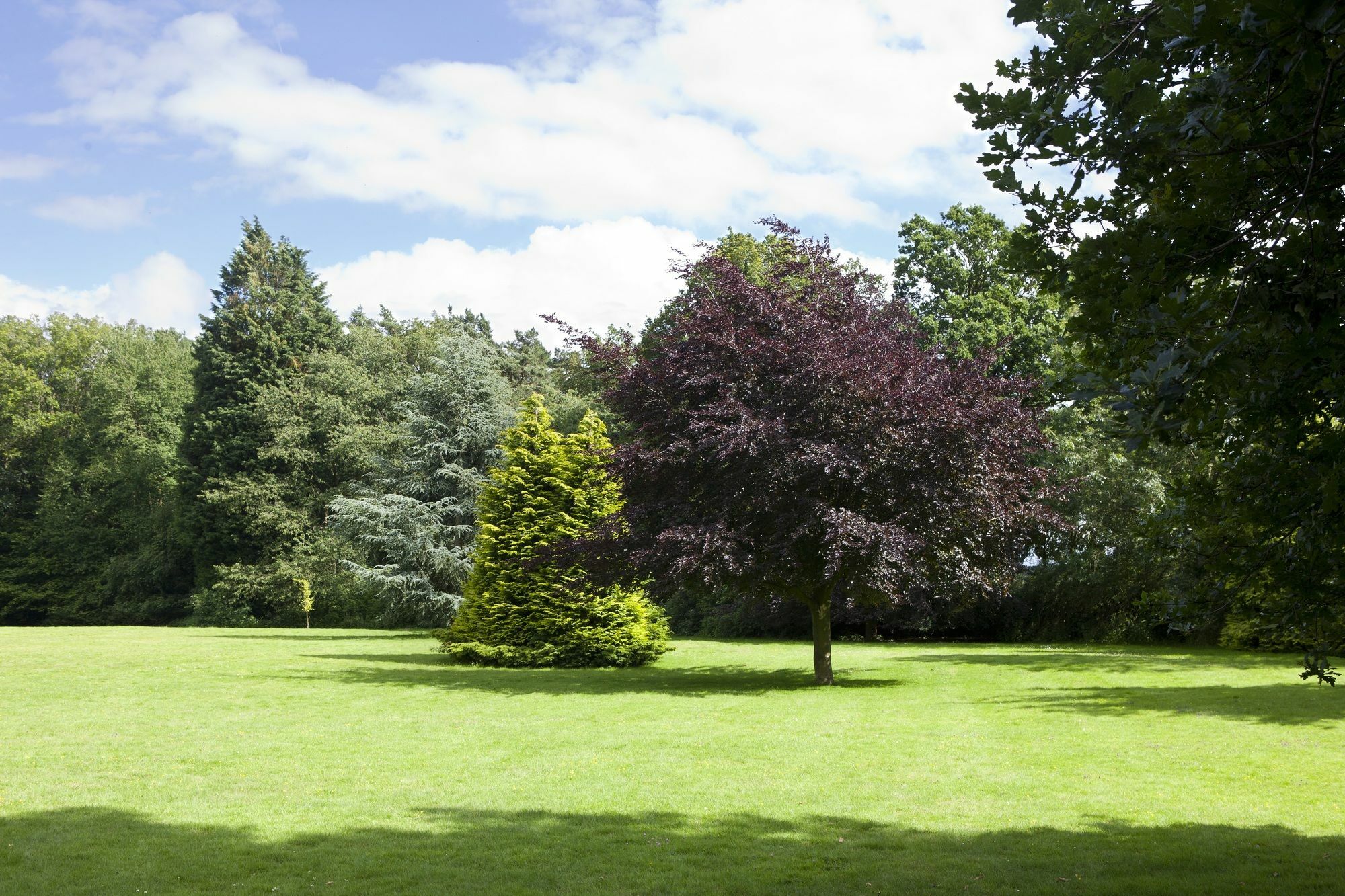 Audleys Wood Hotel, Basingstoke Exterior photo